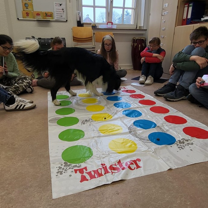 Lesehund Coopa (vergrößerte Bildansicht wird geöffnet)
