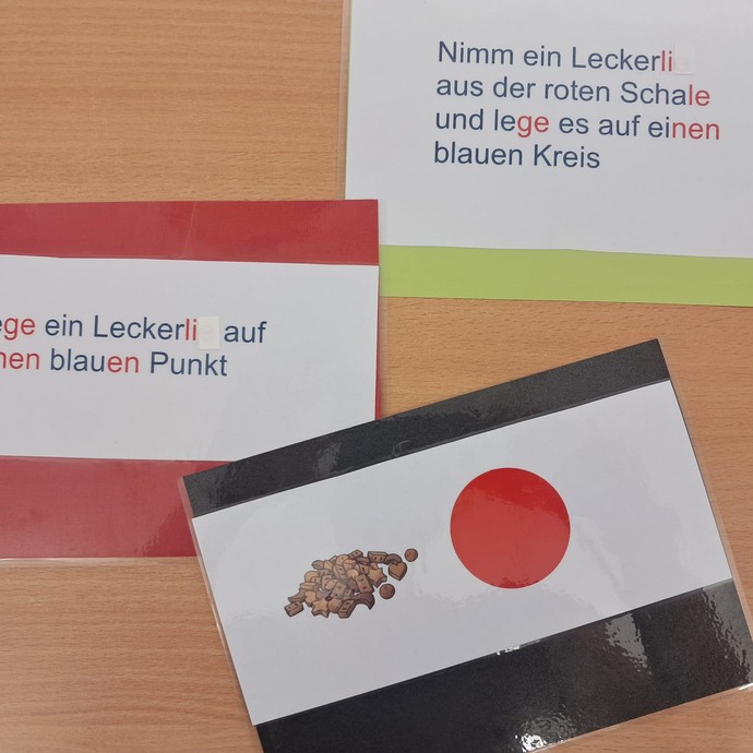 Lesehund Coopa (vergrößerte Bildansicht wird geöffnet)
