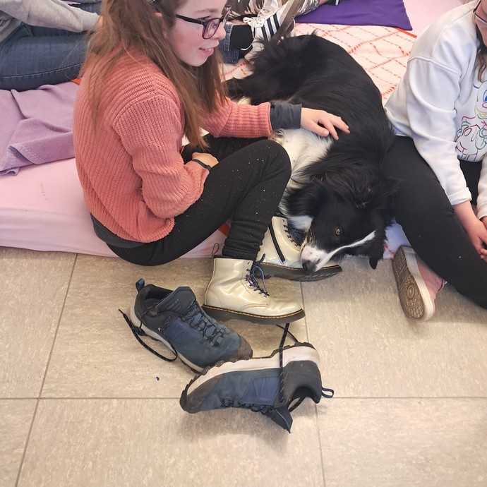 Lesehund Coopa (vergrößerte Bildansicht wird geöffnet)